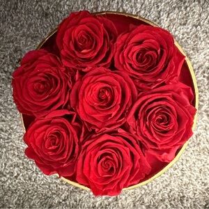 Elegant Red Rose Bouquet